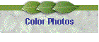 Color Photos
