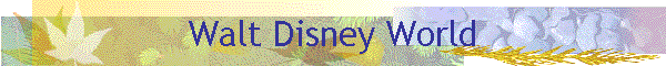 Walt Disney World